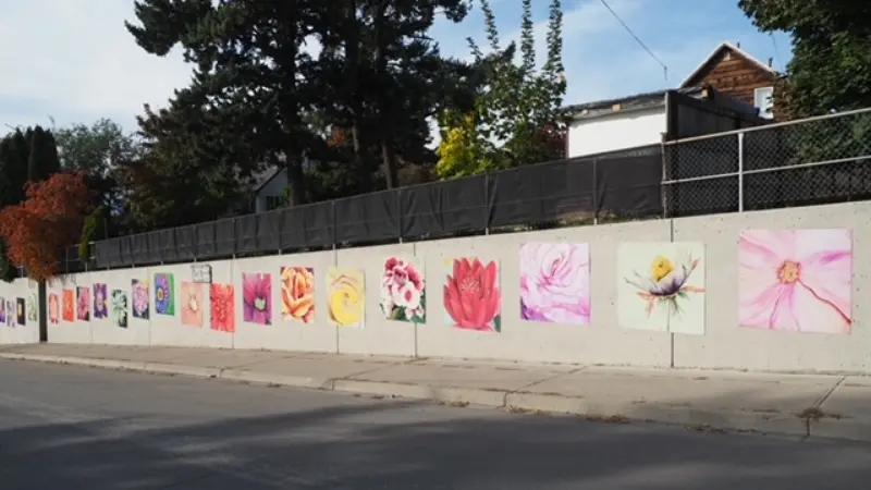 Completed Hillside Flower Mural wall with flower paintings